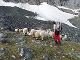 Un simpatico incontro dopo i primi passi sotto la pioggia.......