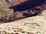 In basso l'Alpe Bagnone