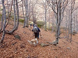 Sempre suggestivi i passaggi nel bosco in questa stagione