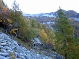 DSCF0018