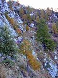 DSCF0022