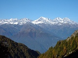 Grande vista sul Pizzo Andolla,Weissmies,Lagginhorn e Fletschhorn