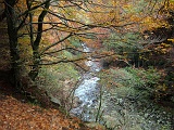 Il Rio Val Gabbio