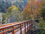DSCF0071