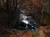 DSCF0077