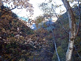 DSCF0078
