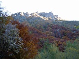 DSCF0080