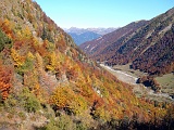 DSCF0106