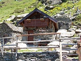 P6030039