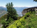 P6030043