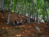 Siamo ancora nel bosco ma il sentiero sale velocemente
