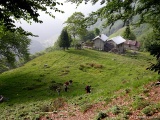 Alpe Casalero (mt.1131)