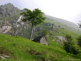 .....mentre saliamo alla volta dell'Alpe Torriggia