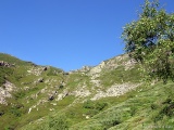 La montagna cambia decisamente aspetto:si entra nel regno dei rododendri !!!