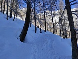 IMG 20210214 100732