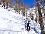 IMG 20210214 101044