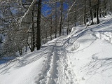 IMG 20210214 101147