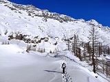 IMG 20210214 105113m