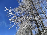 IMG 20210214 124156m