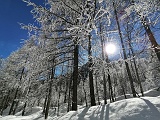 IMG 20210214 124218
