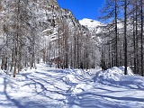 IMG 20210214 124516m