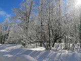 IMG 20210214 125206