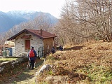 Verso Bracchio.........