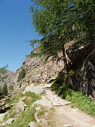 P8050003
