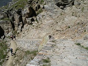 P8050005d