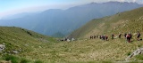 L'arrivo del GAM all'Alpe Nuova