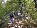 ......per poi cominciare la salita all'inizio nel bosco ......