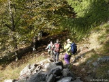 ......per un breve tratto si scende e siamo  ancora nel bosco